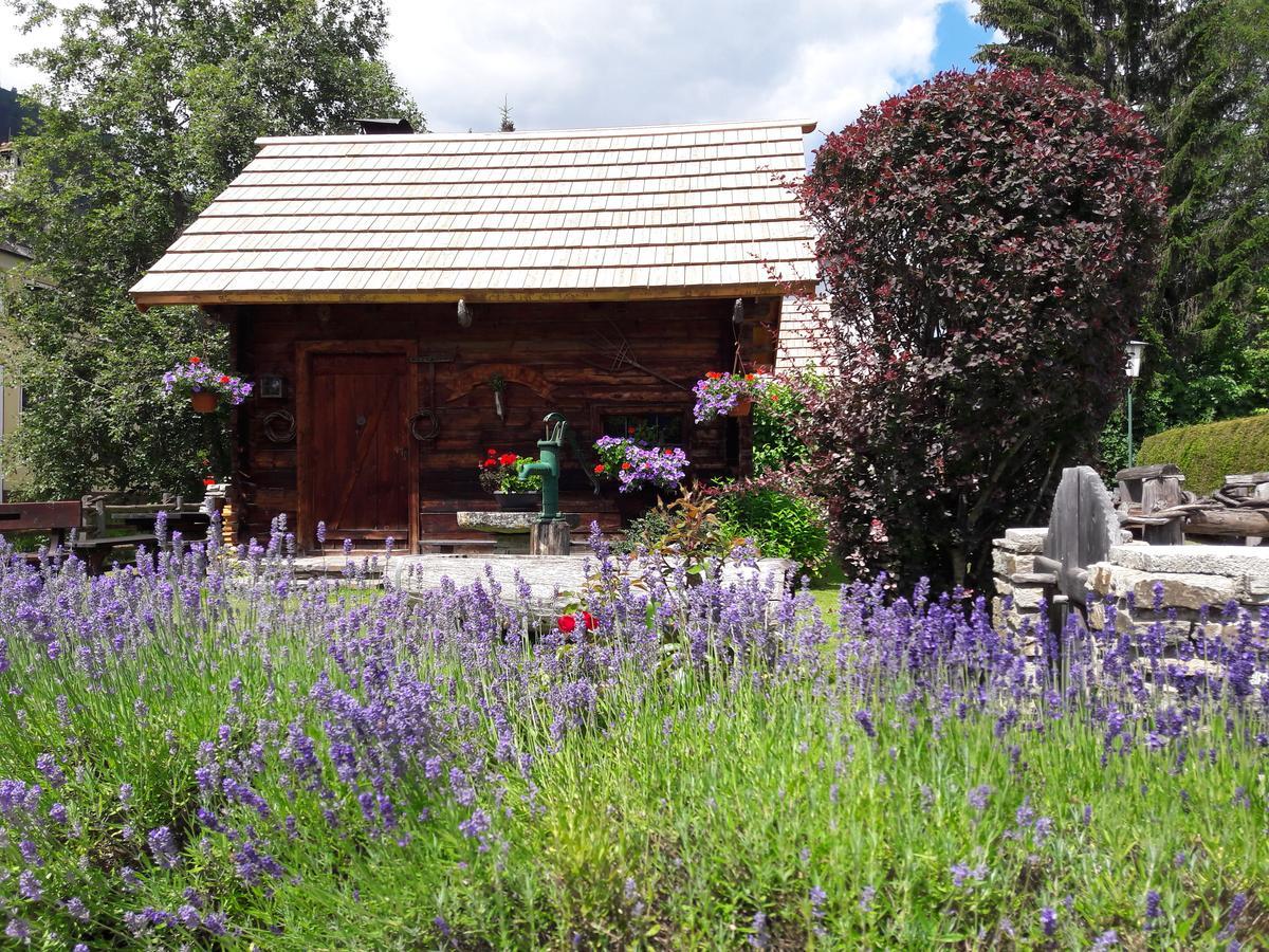Hotel Stegmuehlhof Mauterndorf  Exterior photo